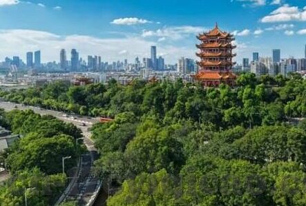 av人妻系列av曰韩精品-探索AV文化中的艺术与界限，AV人妻系列与曰韩精品的多元视角