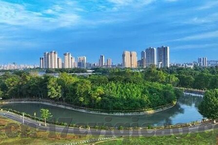 大象传媒登录入口-探索大象传媒的数字门户，解锁创意与信息的全新入口