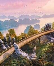 大象传媒黄板-探索大象传媒与黄板，数字时代下的创新与责任