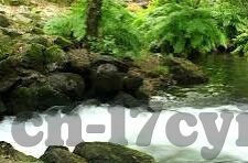 果冻传媒app官方下载地址-探索果冻传媒app，解锁娱乐新体验的官方下载指南