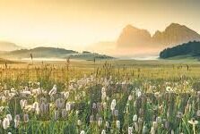 麻豆免费传媒app-麻豆免费传媒App，丰富生活色彩的智能工具