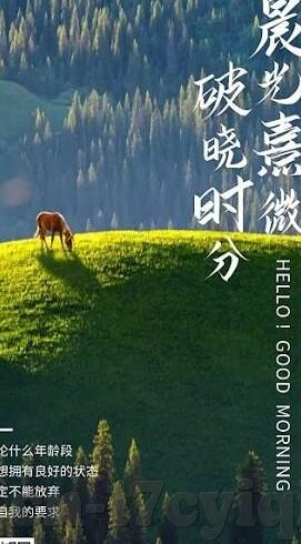 亚洲制服丝袜一区二区三区-探索亚洲制服丝袜的时尚魅力与文化内涵